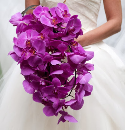color de moda para bodas 2014 la caleñita colombia cali