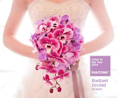 color de moda para bodas 2014 indigo bodas cali