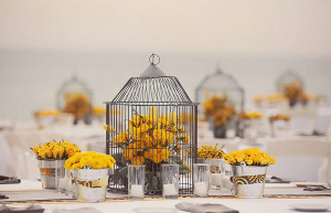 tendencia en bodas 2013 tematica con aves