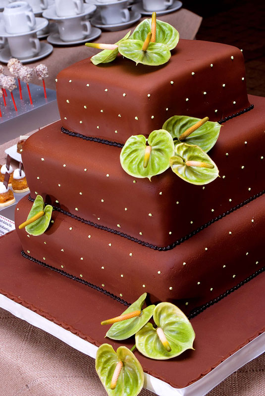 Torta de boa diseñada por Ananda Cali