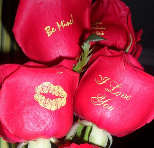 rosas impresas de amor y amistad fioribella colombia