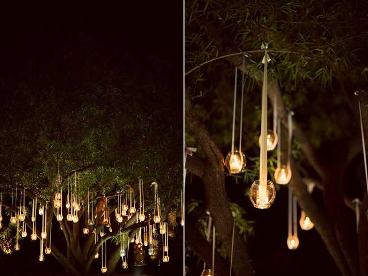 votivas con velas colgando de las ramas del arbol